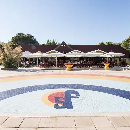 홀리데이파크 Mobile *